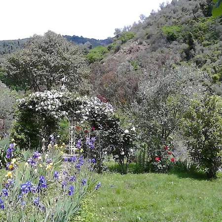 Tatil Evi Frantoio Ristrutturato Vicino Al Torrente Ceriana